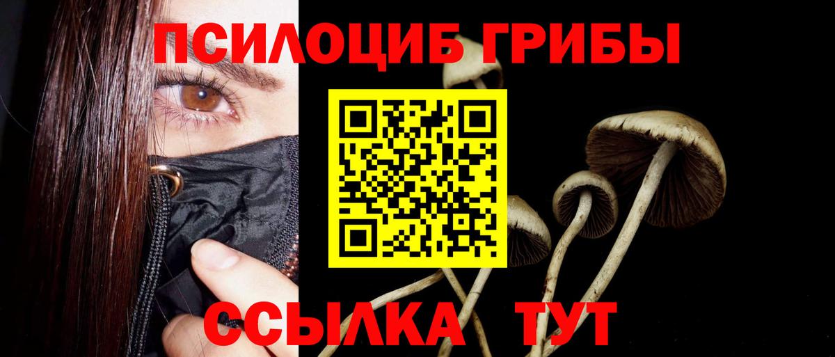 Галлюциногенные грибы мицелий Ливны